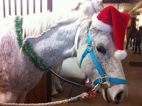 Keno Hills Stable & Tack Shop Ltd Keno Hills Stable & Tack Shop Ltd